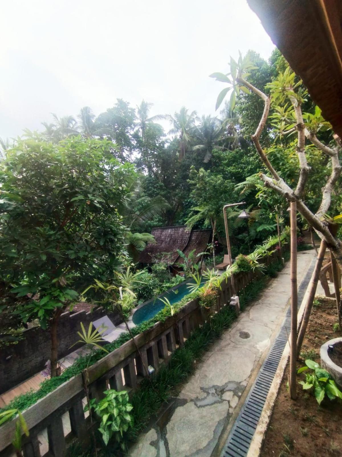 Sweet Orange Ubud (Bali)